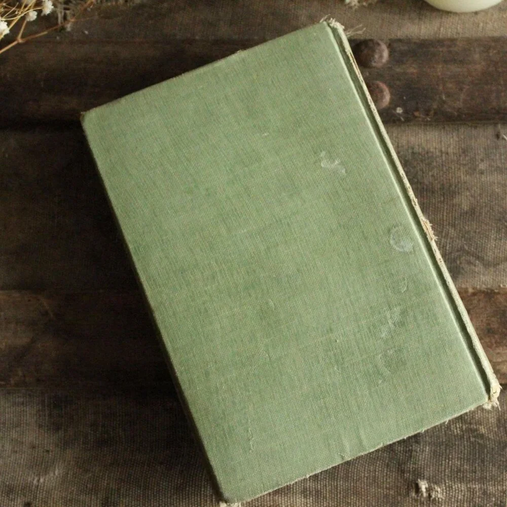 Vintage Antique 1910s Book, "Mother Carey's Chickens", by Kate Douglas Wiggin, - Picture 7 of 16